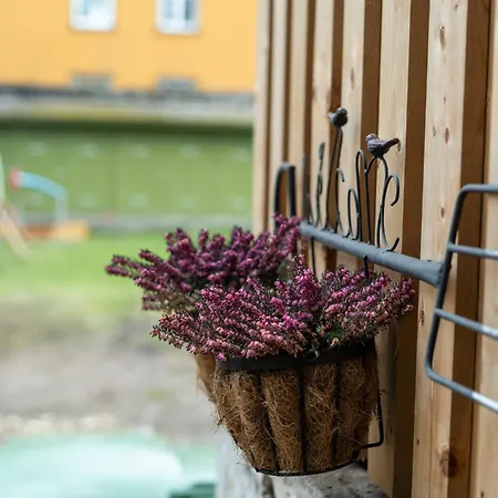 Garden Next To Telliskivi & Old Town Apartmán *