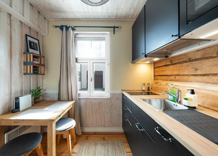 Garden Next To Telliskivi & Old Town * 탈린